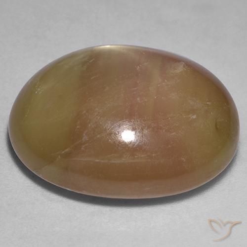 Zafiro estrella Dorado anaranjado natural de 31.95 ct, Ovalada, Opaco