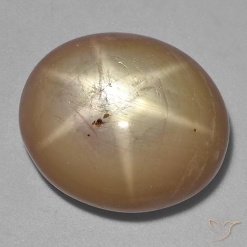 Zafiro estrella Dorado anaranjado natural de 36.43 ct, Ovalada, Opaco