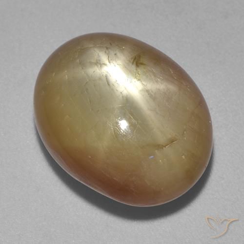 Zafiro estrella Dorado anaranjado natural de 16.13 ct, Ovalada, Opaco