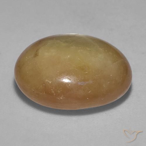 Zafiro estrella Dorado anaranjado natural de 16.13 ct, Ovalada, Opaco