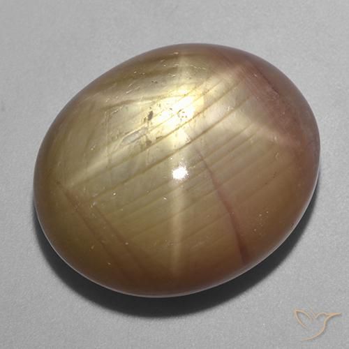 40.06ct Natural Dorado anaranjado Zafiro estrella, Ovalada, Opaco