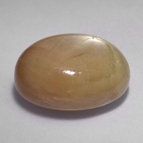 Zafiro estrella dorado anaranjado natural de 19,61 ct, corte óvalo, opaco
