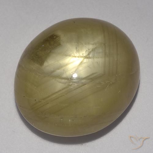 28.87ct Natural Amarillo dorado Zafiro estrella, Ovalada, Opaco