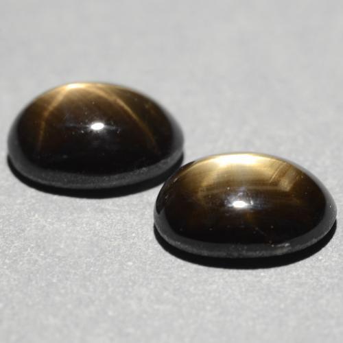 Gemas de Zafiro estrella Negro natural de 2.61 ct, Corte Óvalo, Opaco