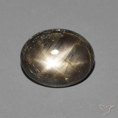 3.05ct Natural Negro Zafiro estrella, Ovalada, Opaco