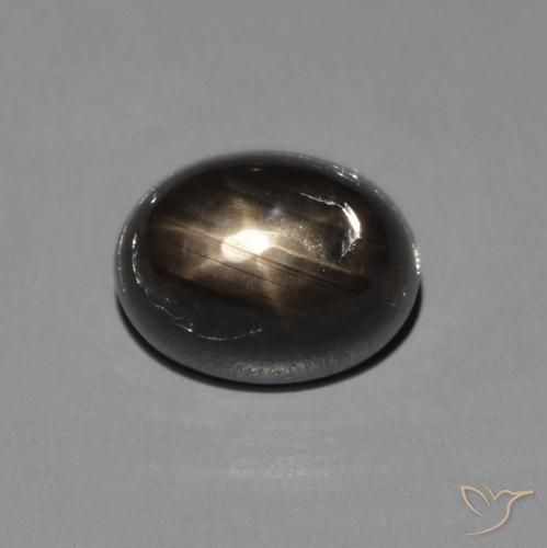 2.72ct Natural Negro Zafiro estrella, Ovalada, Opaco