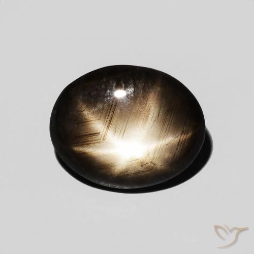 3.89ct Natural Negro Zafiro estrella, Ovalada, Opaco