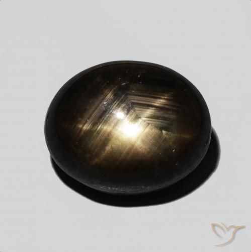9.54ct Natural Negro Zafiro estrella, Ovalada, Opaco