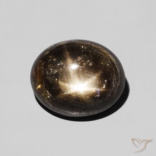 2.74ct Natural Negro Zafiro estrella, Ovalada, Opaco