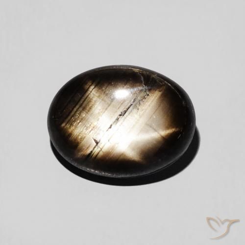 2.97ct Natural Negro Zafiro estrella, Ovalada, Opaco