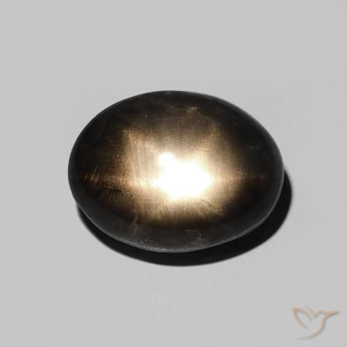 5.13ct Natural Negro Zafiro estrella, Ovalada, Opaco