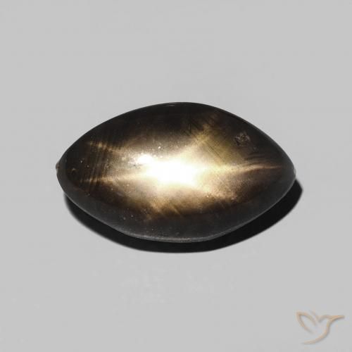 3.28ct Natural Negro Zafiro estrella, Marquesa, Opaco