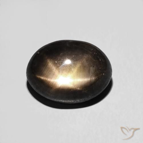 4.05ct Natural Negro Zafiro estrella, Ovalada, Opaco