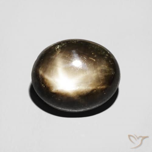 5.09ct Natural Negro Zafiro estrella, Ovalada, Opaco
