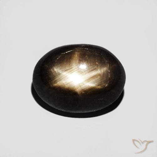 3.16ct Natural Negro Zafiro estrella, Ovalada, Opaco