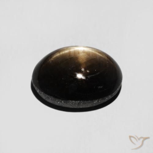Zafiro estrella Negro natural de 3.16 ct, Ovalada, Opaco