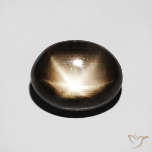 3.50ct Natural Negro Zafiro estrella, Ovalada, Opaco