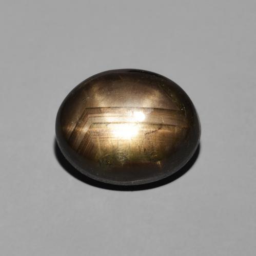 4.70ct Natural Negro Zafiro estrella, Ovalada, Opaco