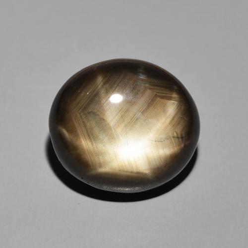 19.55ct Natural Negro Zafiro estrella, Ovalada, Opaco