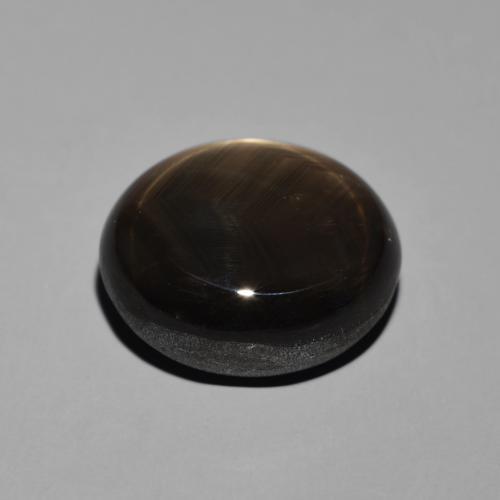 Zafiro estrella Negro natural de 19.55 ct, Ovalada, Opaco