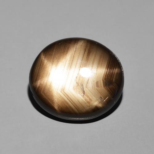 11.35ct Natural Negro Zafiro estrella, Ovalada, Opaco