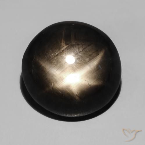15.48ct Natural Negro Zafiro estrella, Ovalada, Opaco