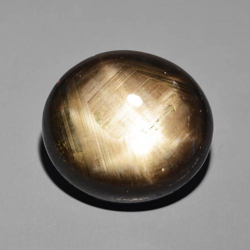 41.19ct Natural Negro Zafiro estrella, Ovalada, Opaco
