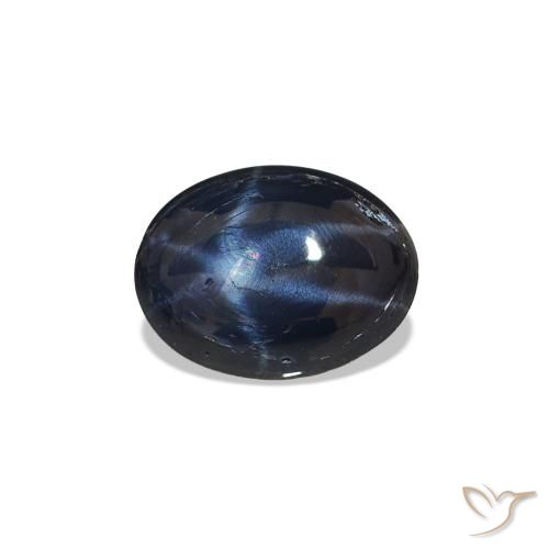1.40ct Azul oscuro Zafiro estrella, Ovalada, Opaco
