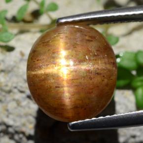 Piedra sol estrella marrón-oro natural de 6,17 ct, corte óvalo, opaco