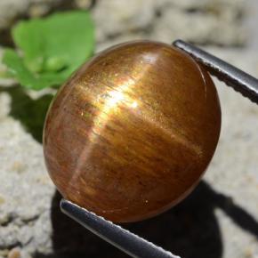 Piedra solar estrella Marrón-oro natural de 17.89 ct, Corte Óvalo, Opaco