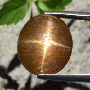 Piedra sol estrella marrón natural de 12,64 ct, corte óvalo, opaco