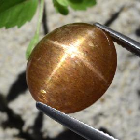Piedra sol estrella marrón natural de 12,64 ct, corte óvalo, opaco