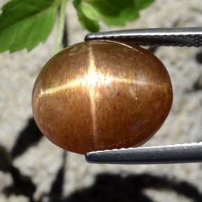 Piedra sol estrella marrón natural de 12,64 ct, corte óvalo, opaco