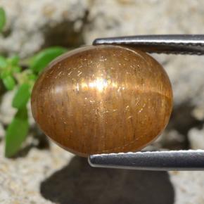 Piedra sol estrella marrón medio natural de 8,35 ct, corte óvalo, opaco