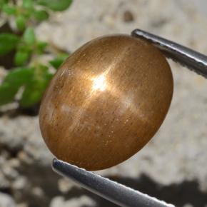 Piedra solar estrella Marrón-oro natural de 7.47 ct, Corte Óvalo, Opaco