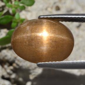 Piedra solar estrella Marrón-oro natural de 7.47 ct, Corte Óvalo, Opaco