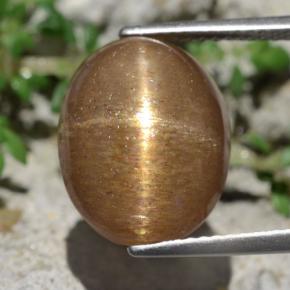 Piedra sol estrella marrón natural de 10,14 ct, corte óvalo, opaco