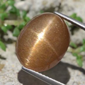 Piedra sol estrella marrón natural de 10,14 ct, corte óvalo, opaco
