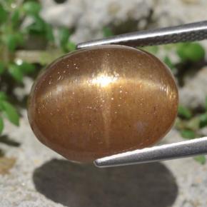Piedra sol estrella marrón natural de 10,14 ct, corte óvalo, opaco