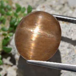 Piedra sol estrella marrón natural de 9,50 ct, corte óvalo, opaco