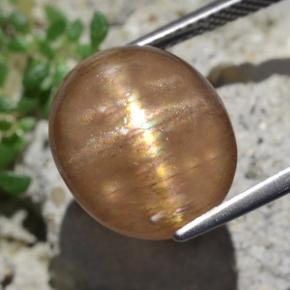 Piedra sol estrella marrón natural de 9,50 ct, corte óvalo, opaco