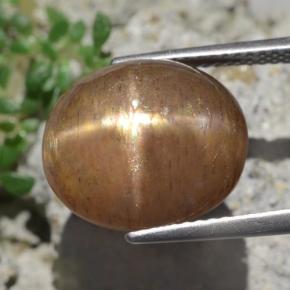 Piedra sol estrella marrón natural de 9,50 ct, corte óvalo, opaco