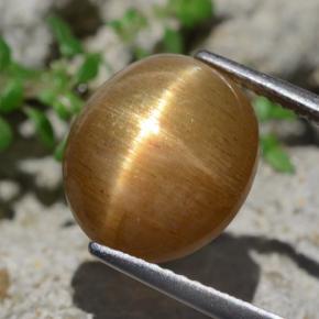 Piedra sol estrella marrón natural de 6,94 ct, corte óvalo, opaco