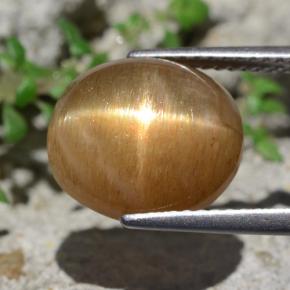 Piedra sol estrella marrón natural de 6,94 ct, corte óvalo, opaco