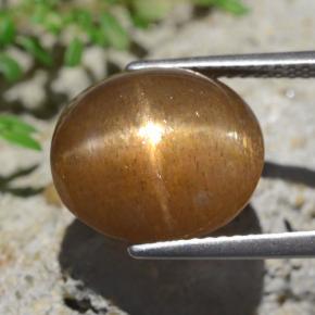 Piedra solar estrella Marrón claro medio natural de 9.02 ct, Corte Óvalo, Opaco