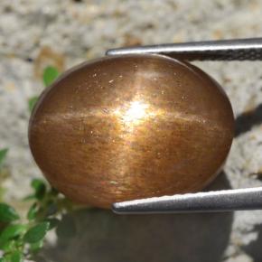 Piedra solar estrella Marrón-oro natural de 13.59 ct, Corte Óvalo, Opaco
