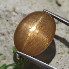 Piedra solar estrella Marrón-oro natural de 9.58 ct, Corte Óvalo, Opaco