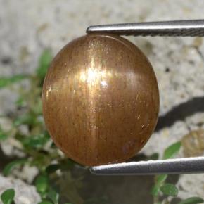 Piedra sol estrella marrón-oro natural de 6,20 ct, corte óvalo, opaco
