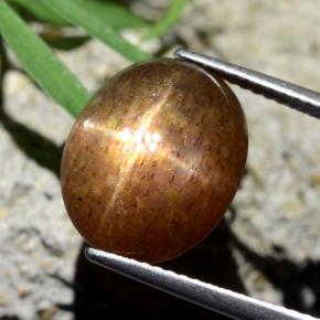 Piedra solar estrella Marrón-oro natural de 8.75 ct, Corte Óvalo, Opaco