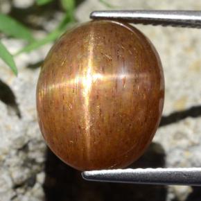 Piedra solar estrella Marrón-oro natural de 9.75 ct, Corte Óvalo, Opaco